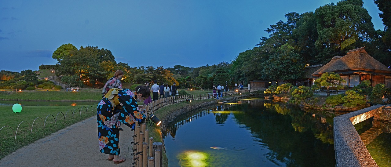 20200826 昨晩撮影の後楽園夏の幻想庭園内廉池軒池の様子ワイド風景 (1)