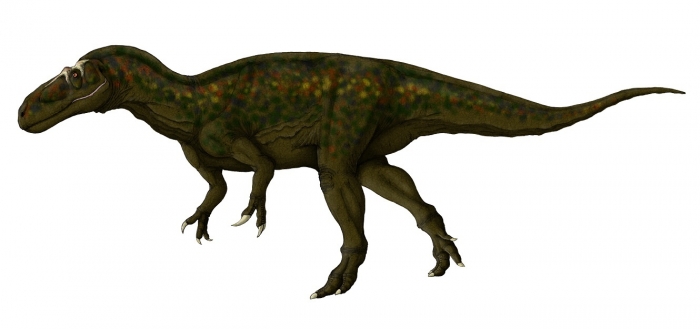 Megalosaurus bucklandii 002