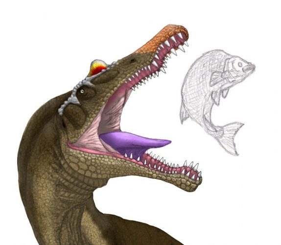 Sigilmassasaurus