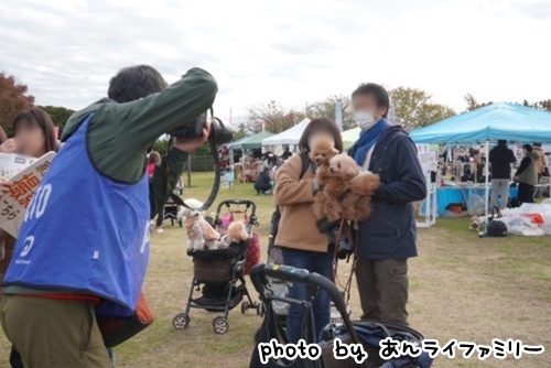 2022 プードル フェス プードルフェス2022（2022年3月20日（日））｜イーノの森Dog Garden（東京都江東区）