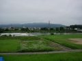 200705水量の増えた桂川