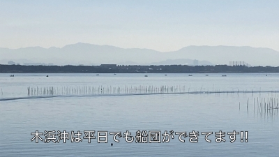 月曜日も穏やかな琵琶湖!! 平日でも木浜沖に船団が･･･（YouTubeムービー）