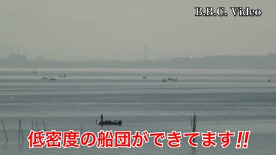 晴天微風の南湖!! 定位置に低密度の船団が･･･ #今日の琵琶湖（YouTubeムービー）