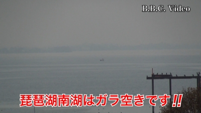 曇天無風でもガラ空き!! 琵琶湖大橋西詰めから眺めた南湖 #今日の琵琶湖（YouTubeムービー）