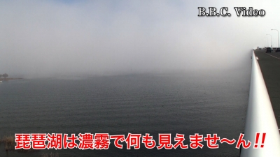 南寄りの強風で大荒れ!! 山ノ下湾から眺めた南湖 #今日の琵琶湖（YouTubeムービー）