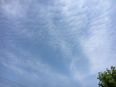 堅田周辺は朝から言い天気で気温がグングン上昇（8月4日11時頃）