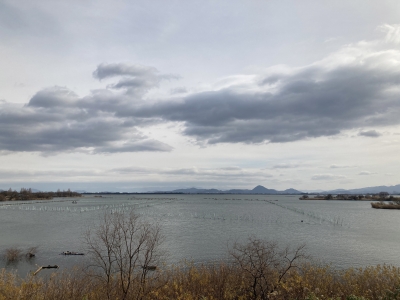 山ノ下湾から眺めた琵琶湖南湖は西寄りの強風で荒れ気味です（1月3日11時45分頃）