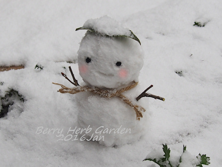 160124_snowman_p0018_.jpg