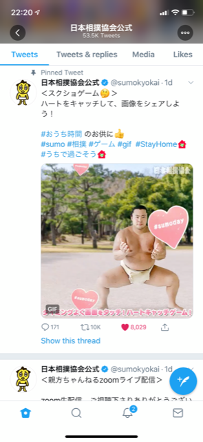 sumo2.png
