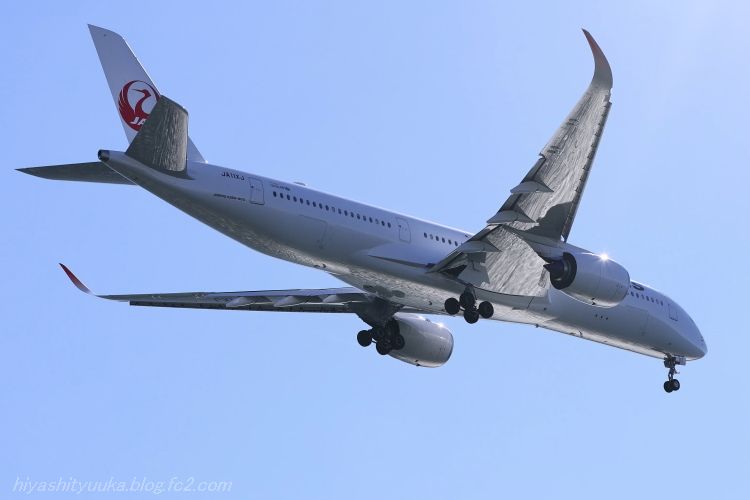 2G6A6169 JAL SN