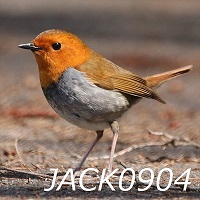JACK0904