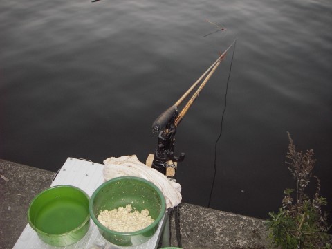 中川の鯉とヘラブナ釣り日記 釣り ヘラブナ