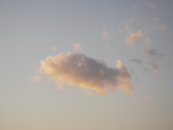 　鯉雲出現