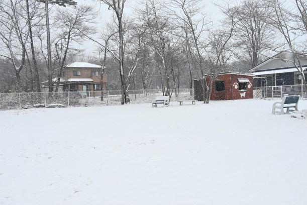 DSC_2328 (4)4雪景色