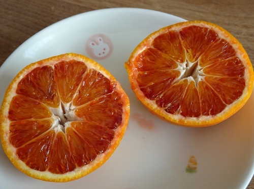 ブラッドオレンジ　モロ