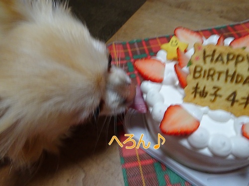 柚子　お誕生日ケーキ