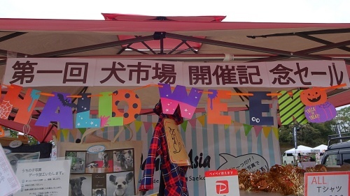 犬市場in岡崎