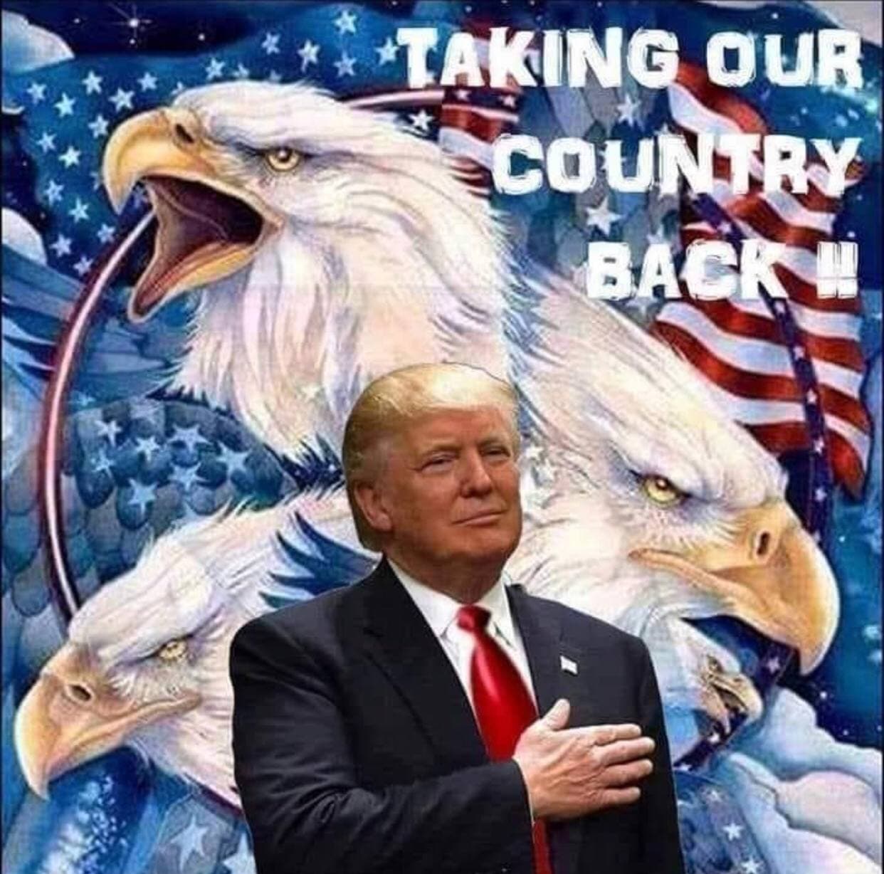 taking our country back