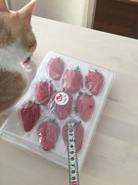 【写真】宅配で届いたポレポレ苺を見つめながら手を舐める子猫