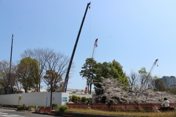 R02040208目黒川沿い桜並木