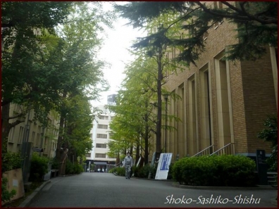 20201108　校内　　7　　早稲田大学