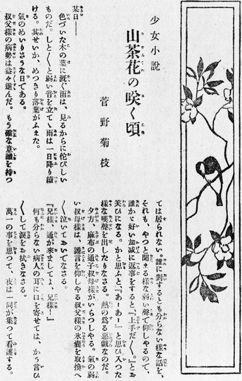 山茶花の咲くころ1917dec