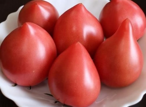 r-tomato.jpg