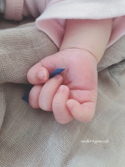 赤ちゃんの指のサイズ