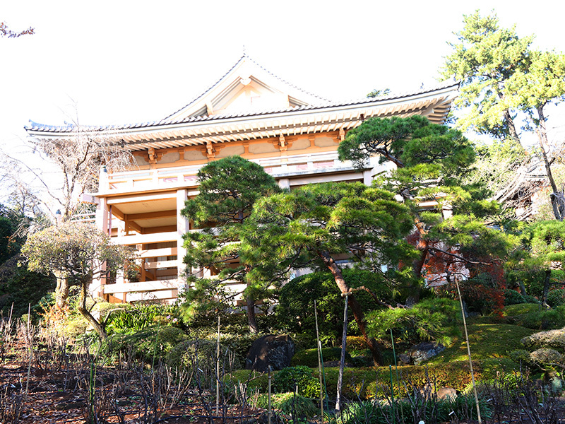 薬王院・氷川神社・歌舞伎町＆花園神社