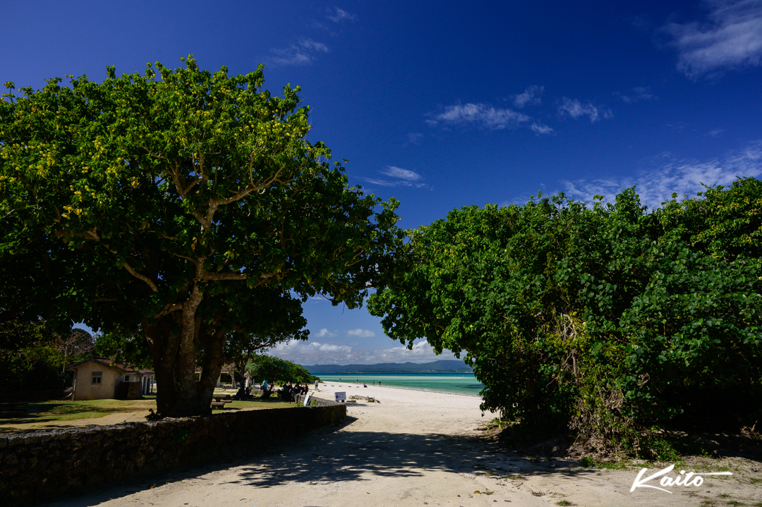 竹富島　1月のコンドイビーチ風景